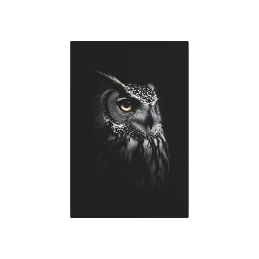 Great Horned Owl Portrait