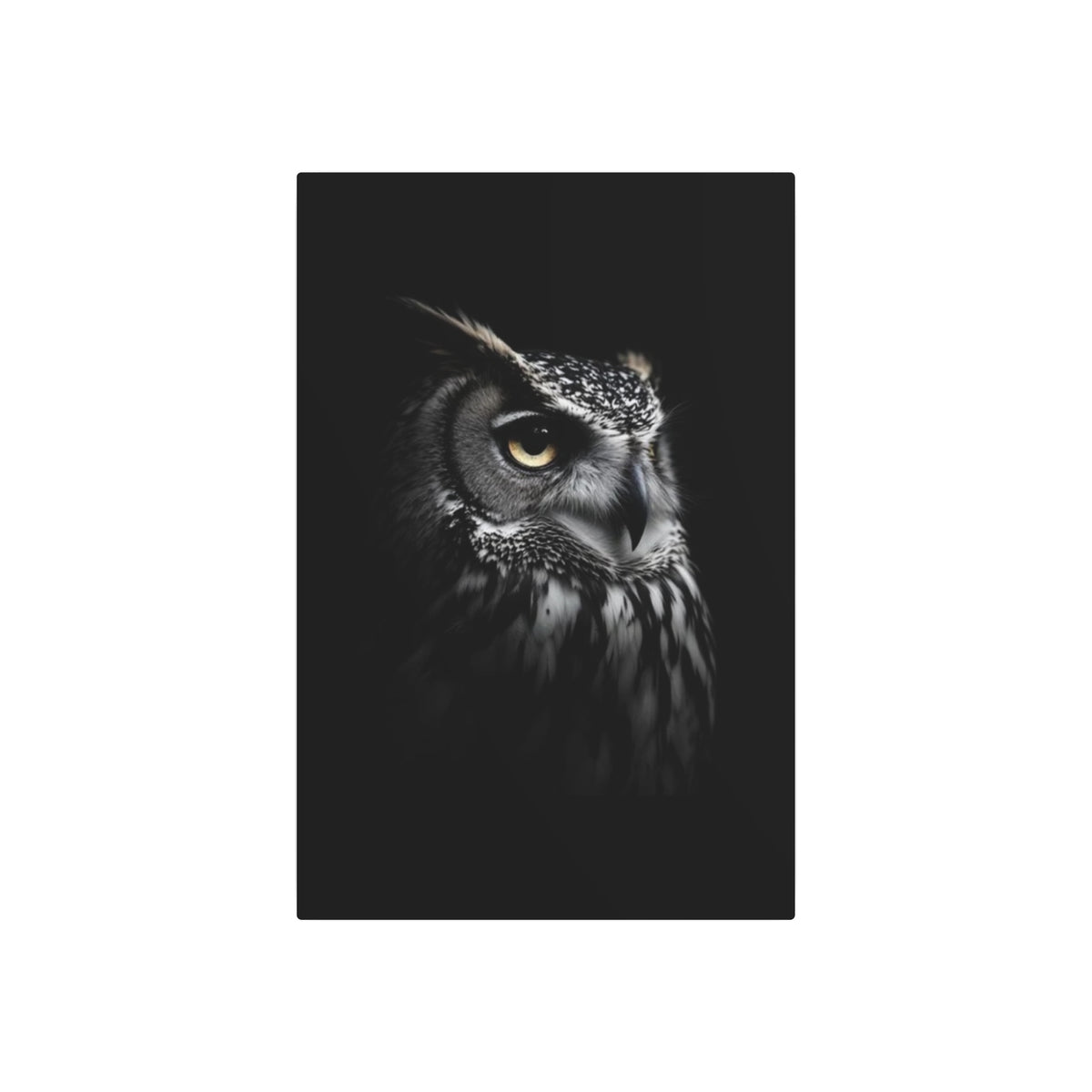 Great Horned Owl Portrait