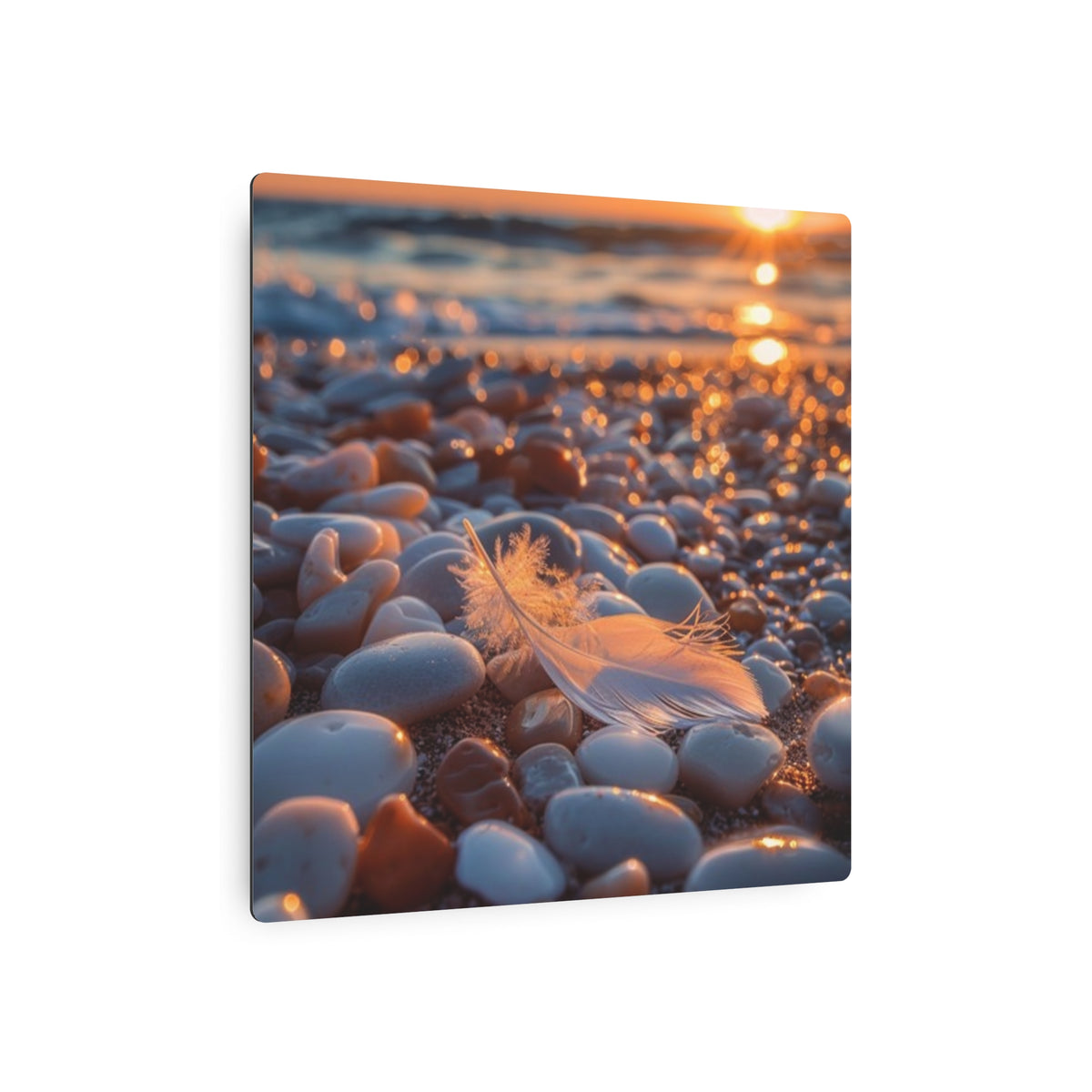 Tranquil Feather on Beach Stones