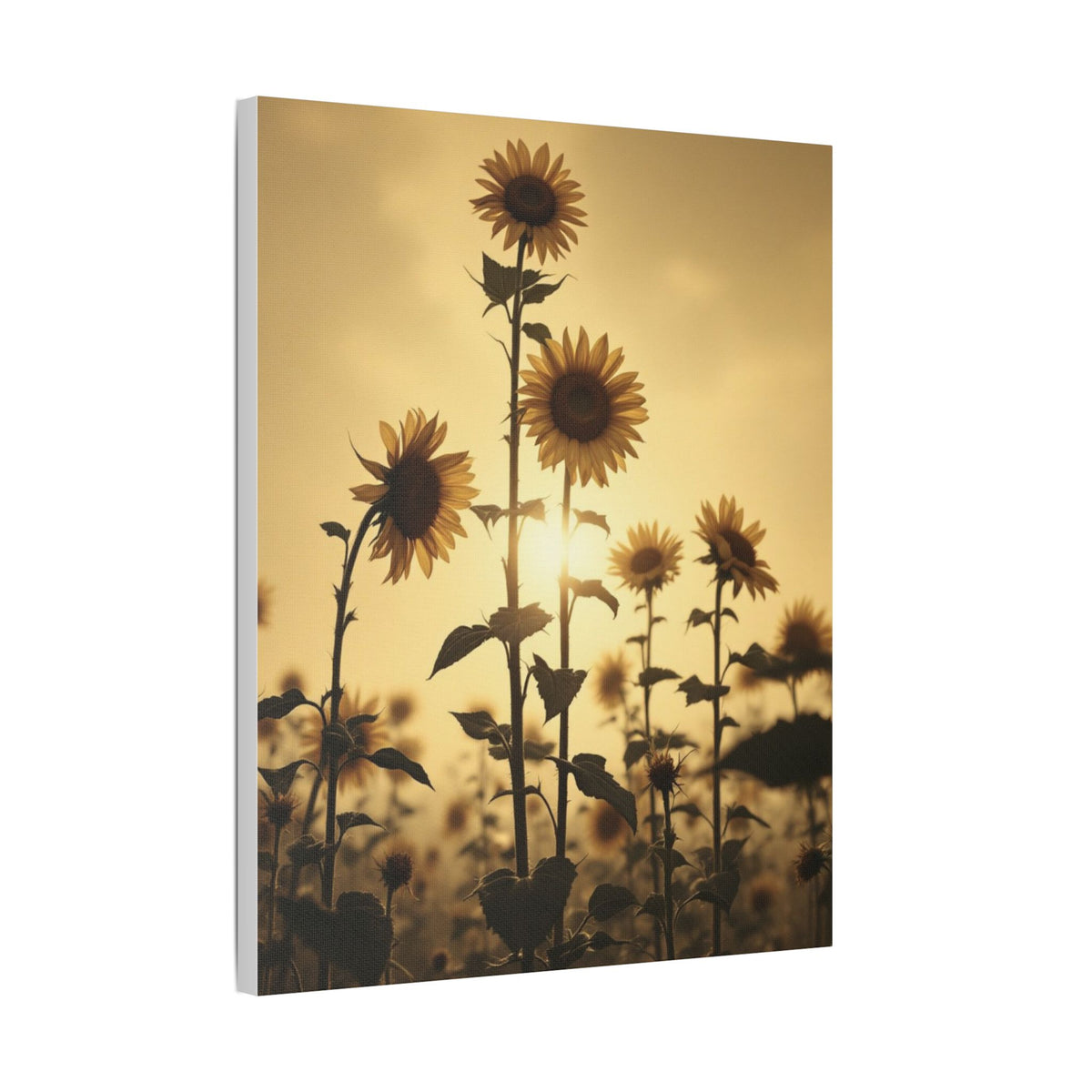 Soft Sepia Sunlit Sunflowers Satin Canvas, Stretched
