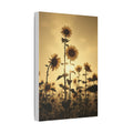 Soft Sepia Sunlit Sunflowers Satin Canvas, Stretched