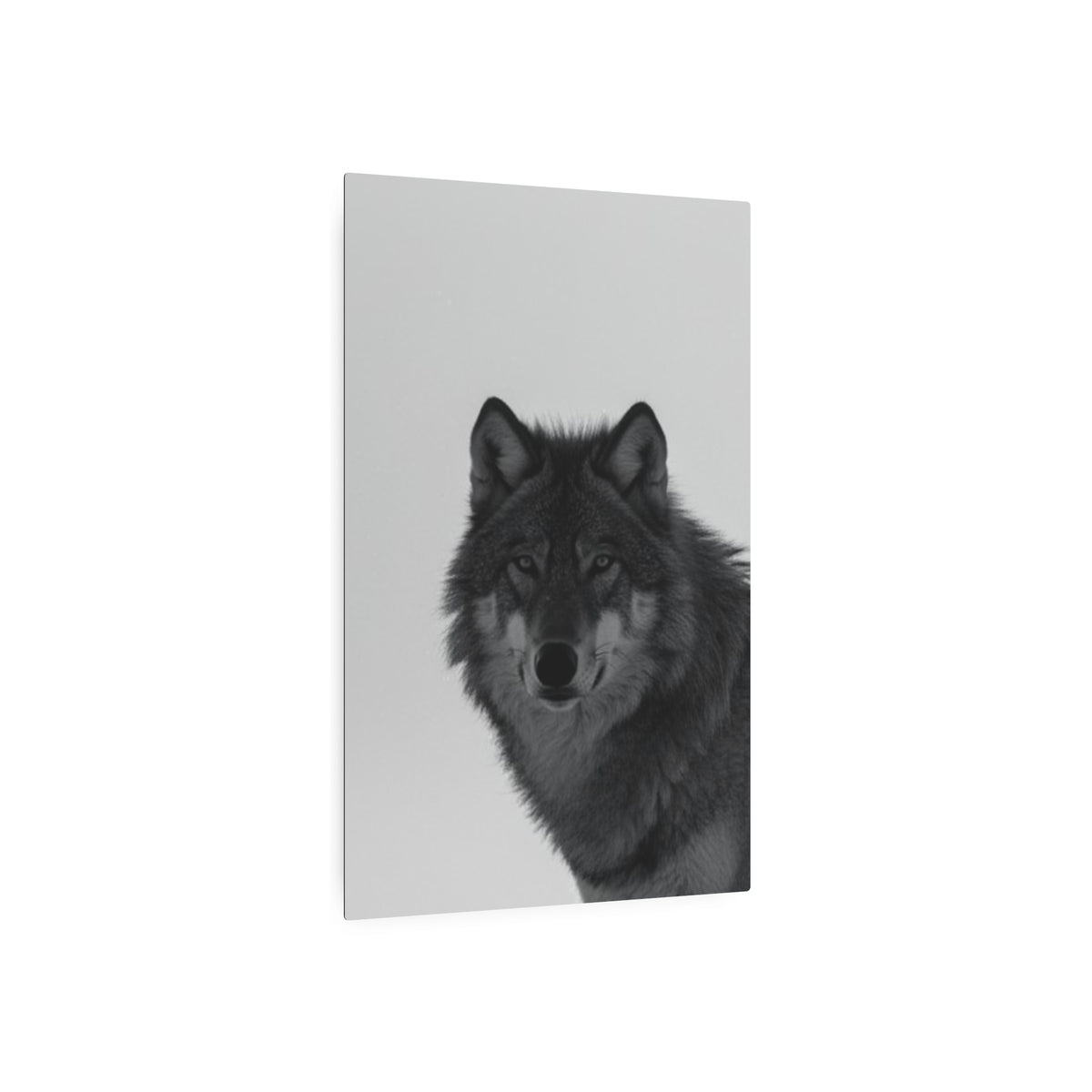Wolf Portrait