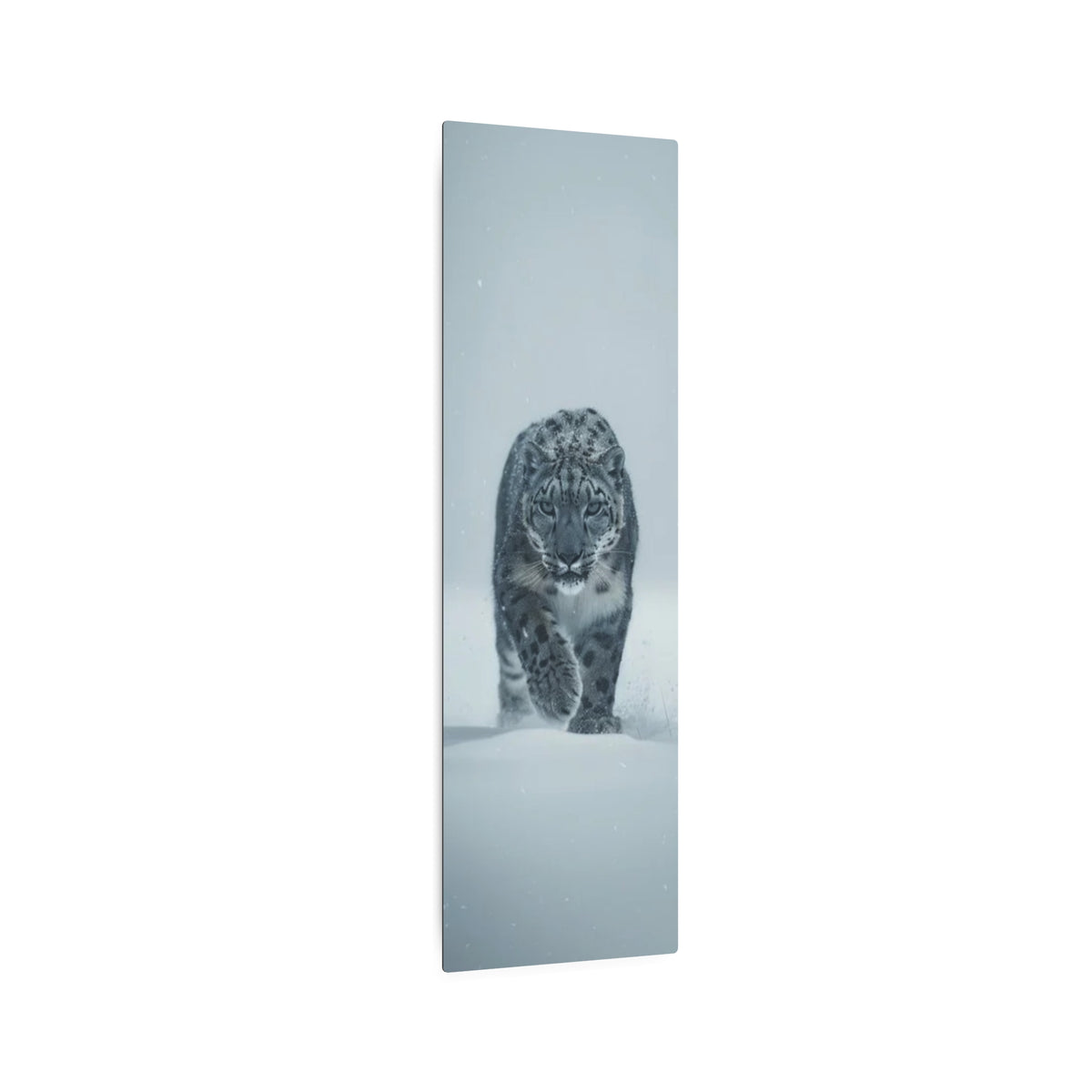 Snow Leopard Portrait