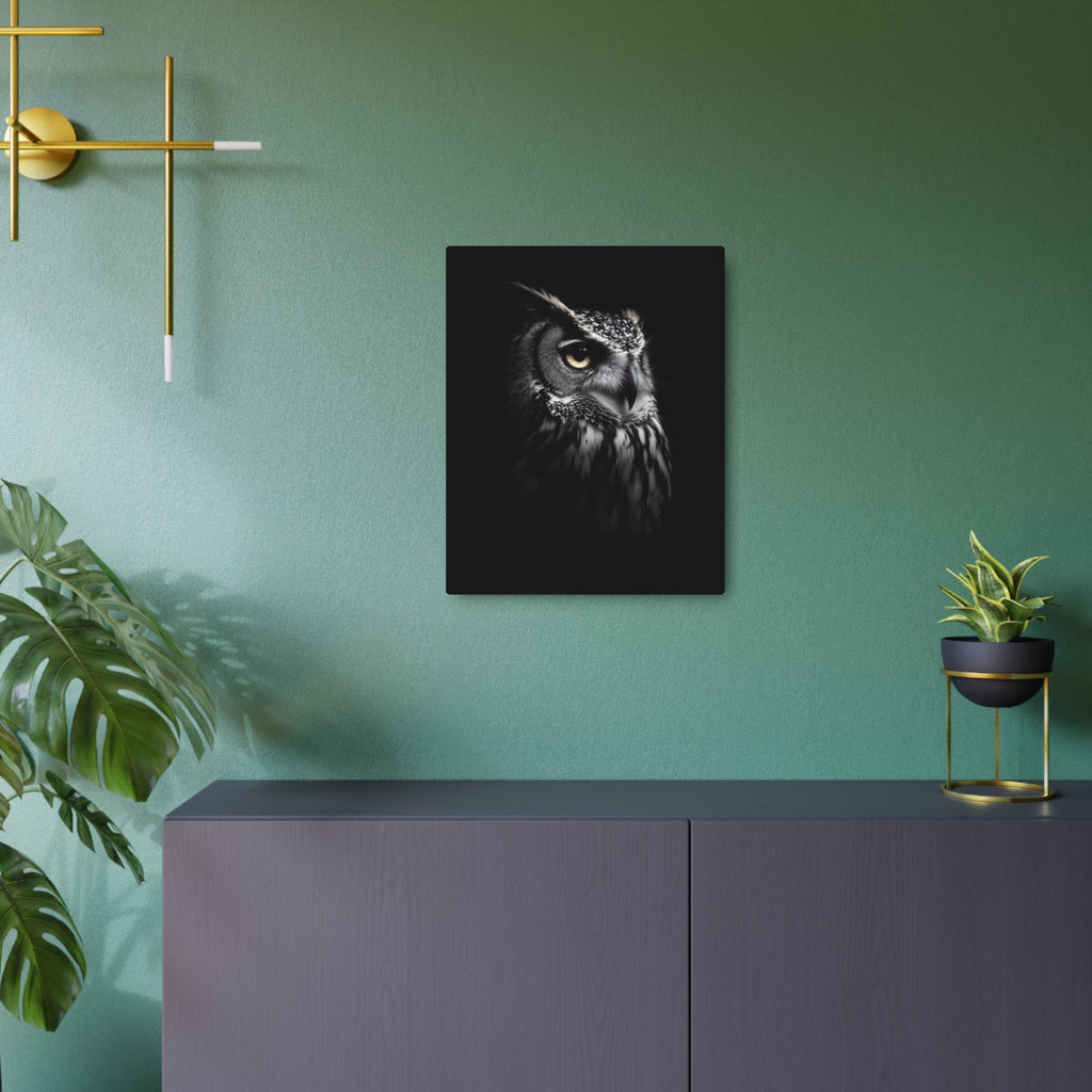 Great Horned Owl Portrait