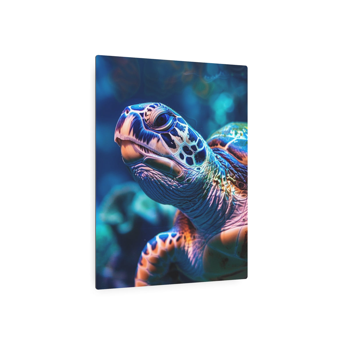 Sea Turtle Portrait