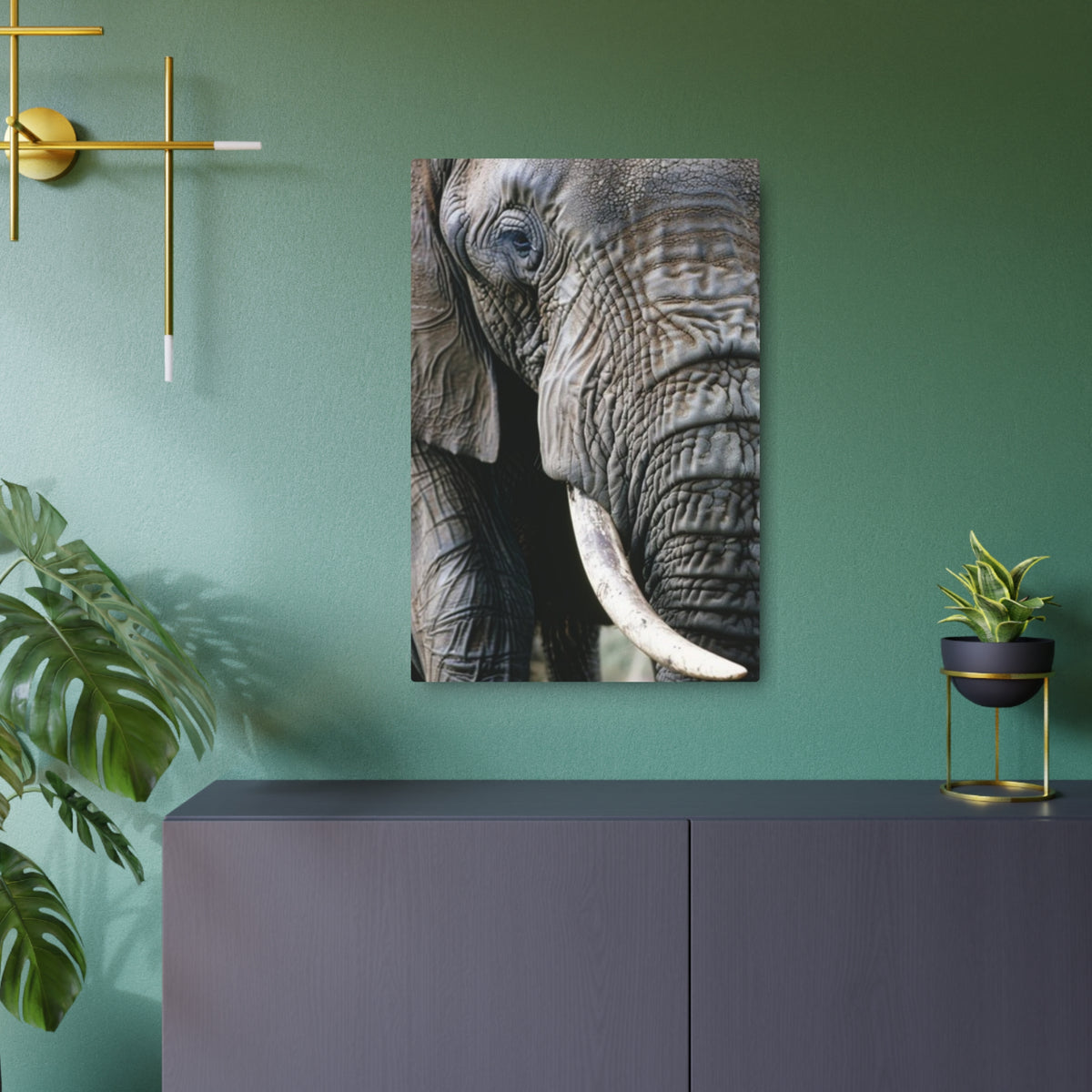Elephant Portrait