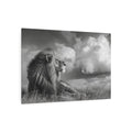 Lion Portrait