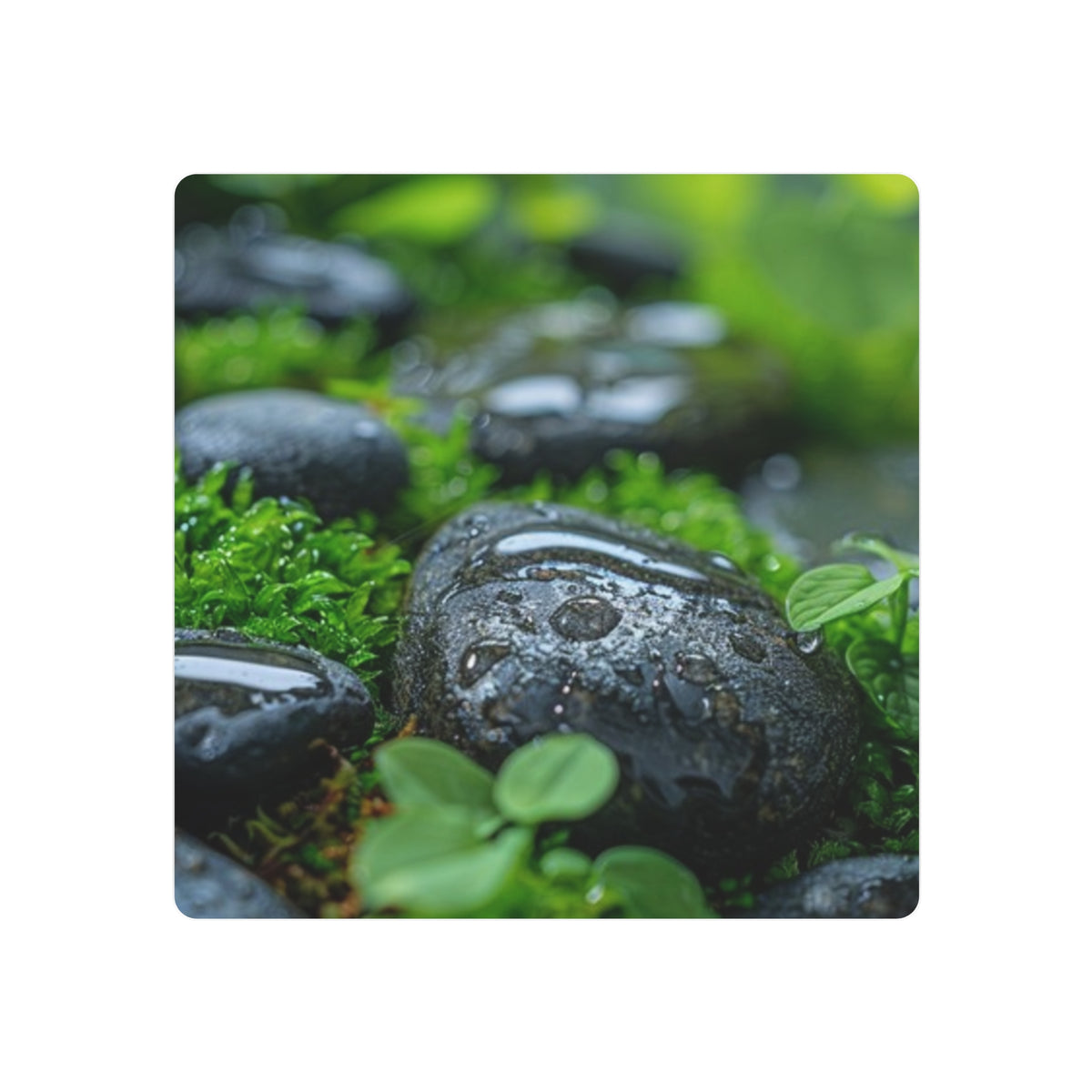 Tranquil River Stones