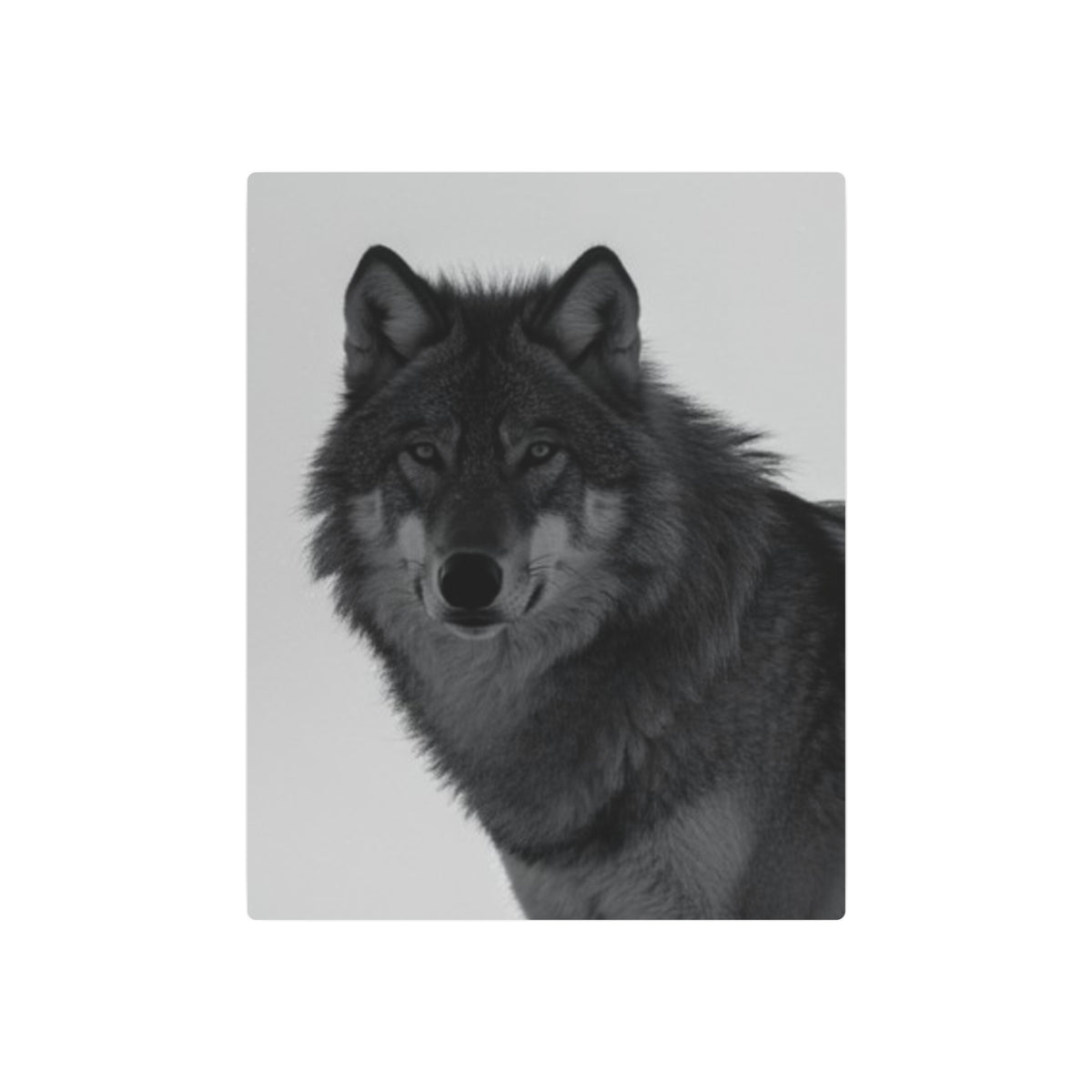 Wolf Portrait