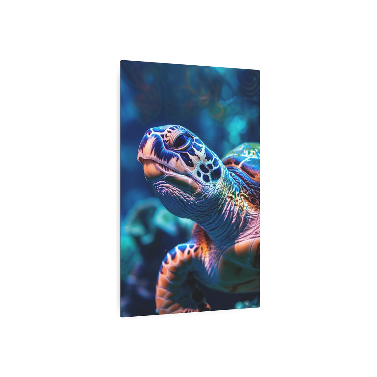 Sea Turtle Portrait