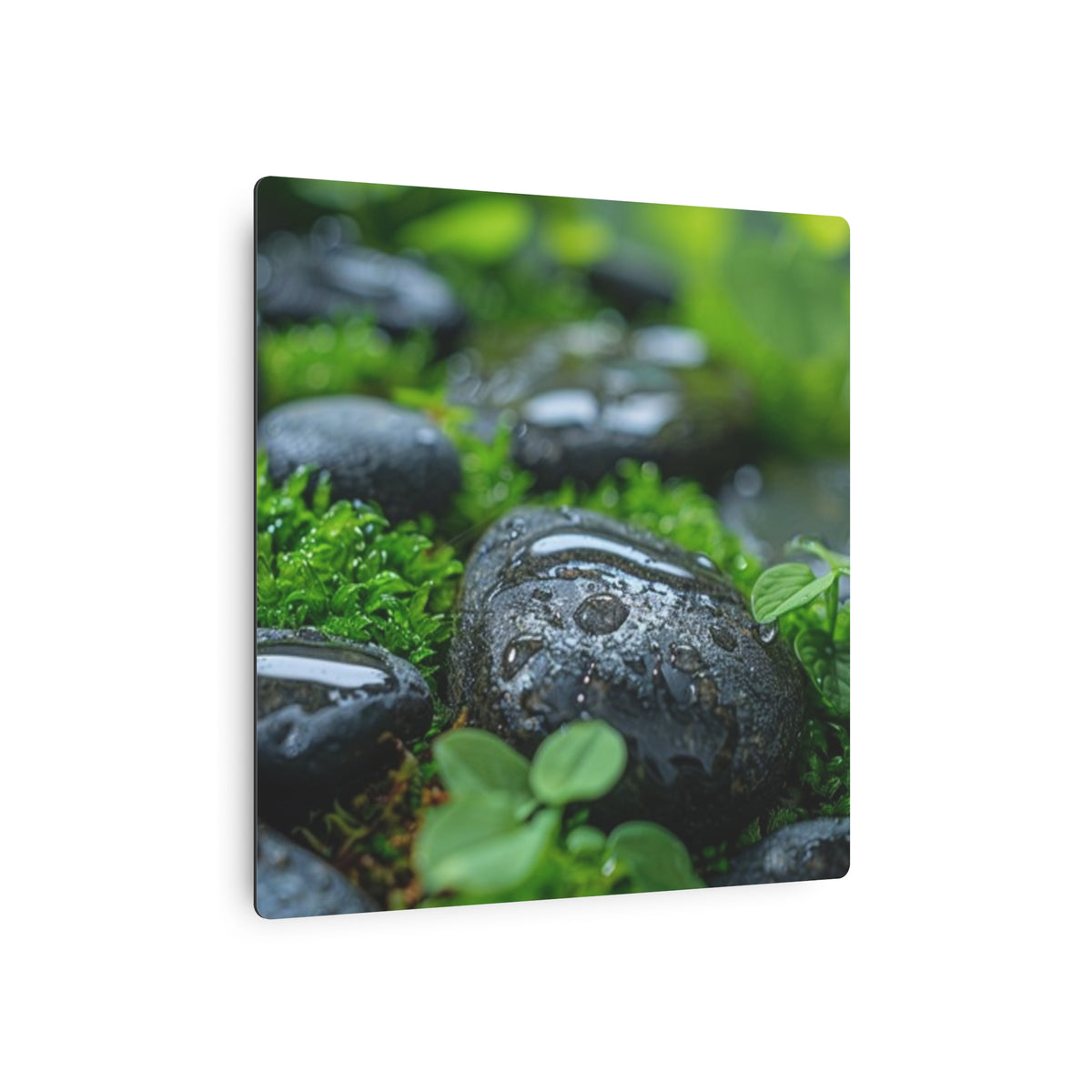 Tranquil River Stones