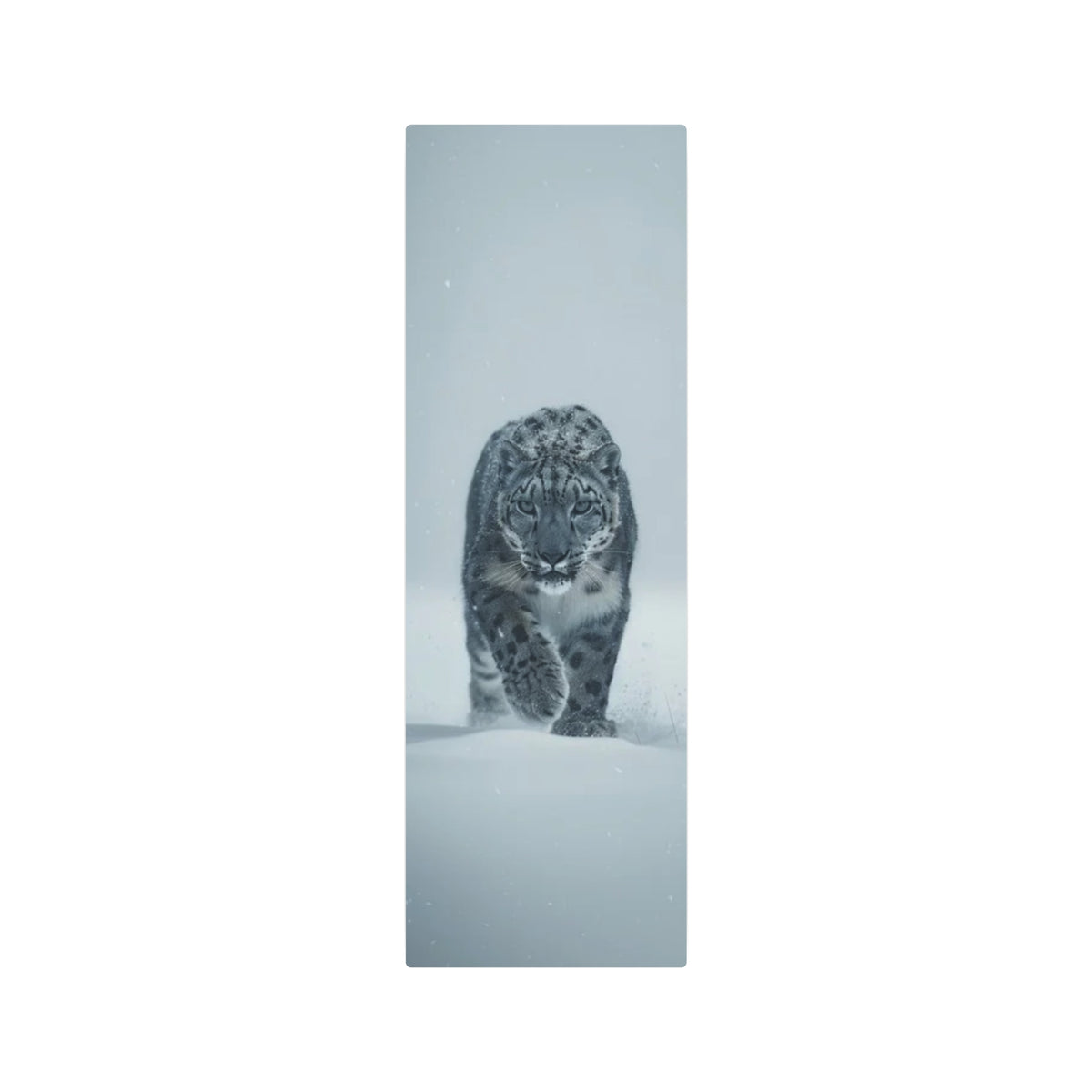 Snow Leopard Portrait