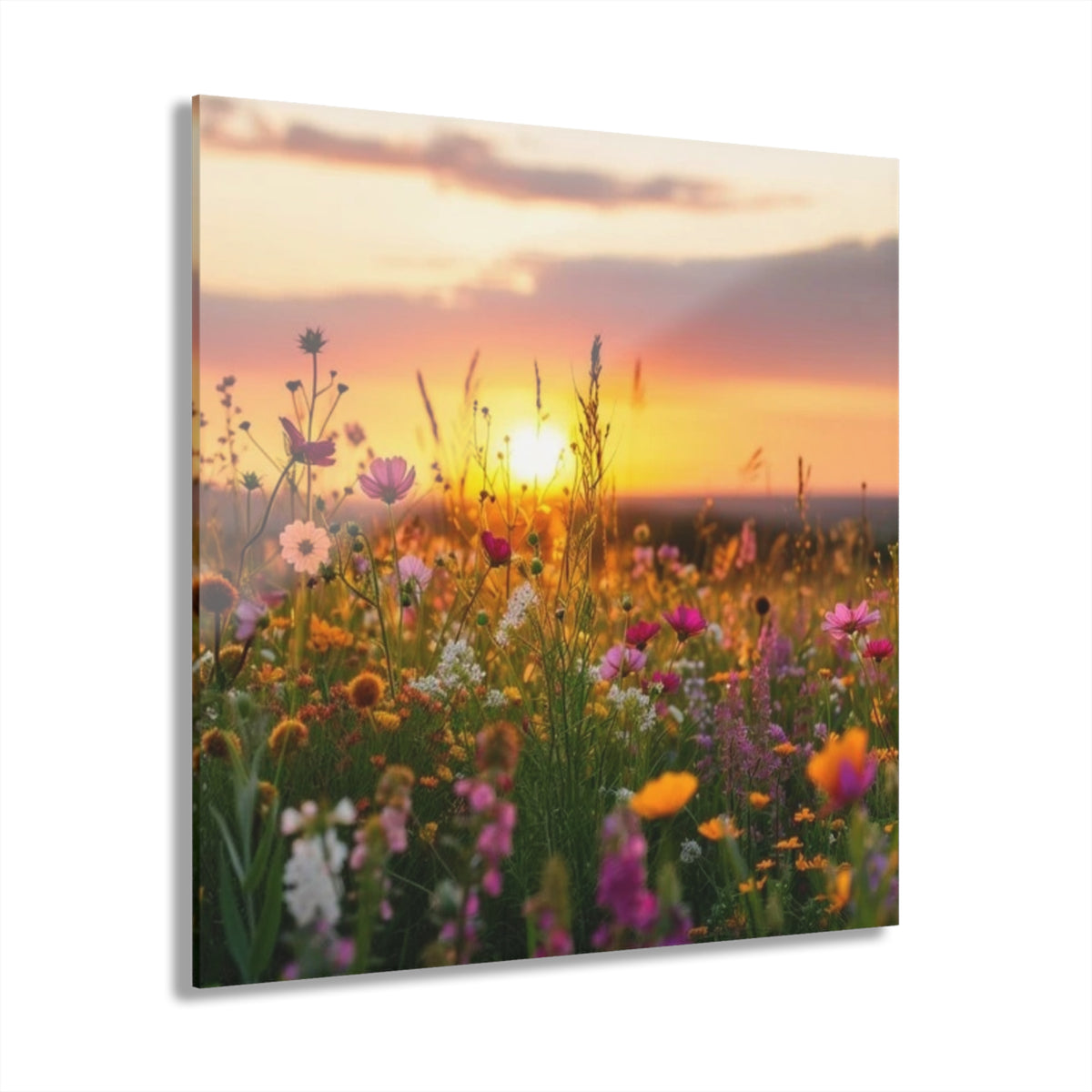 Wildflower Field at Sunset Acrylic Prints (French Cleat Hanging)