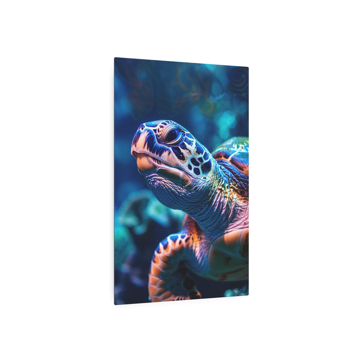 Sea Turtle Portrait