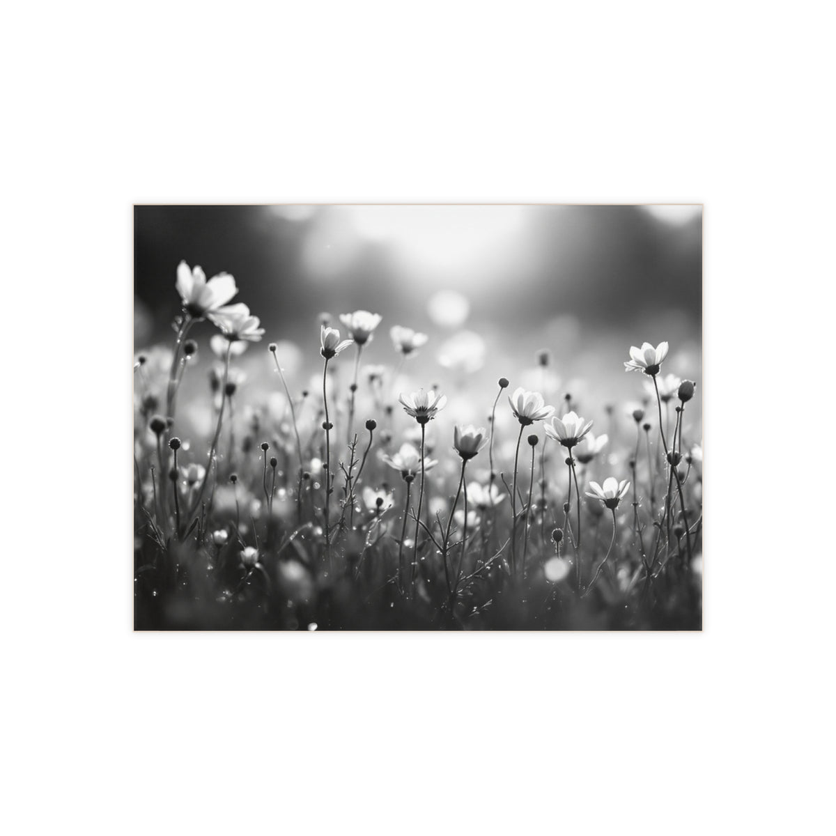 Black and White Floral Print; Design Accent Ceramic Tile