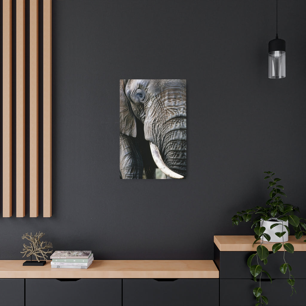 Elephant Portrait