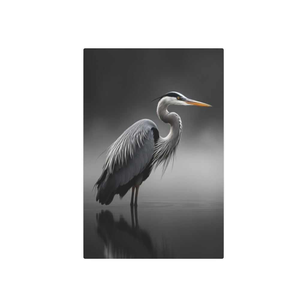 Great Blue Heron Portrait