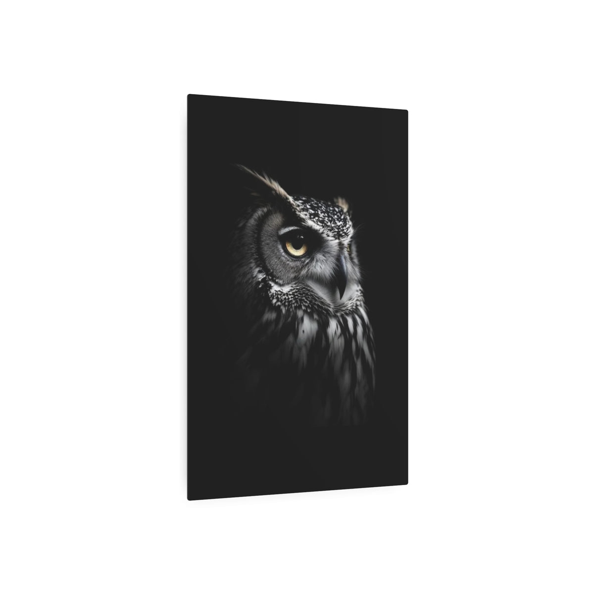 Great Horned Owl Portrait