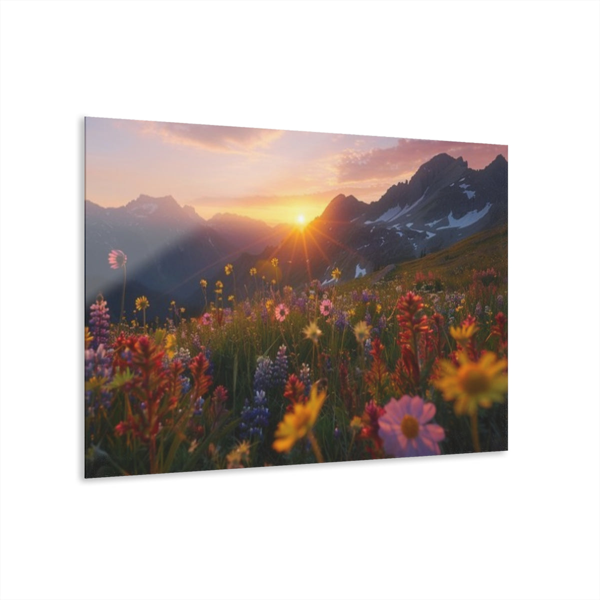 Mountain Meadow Wildflowers at Sunset Acrylic Prints (French Cleat Hanging)