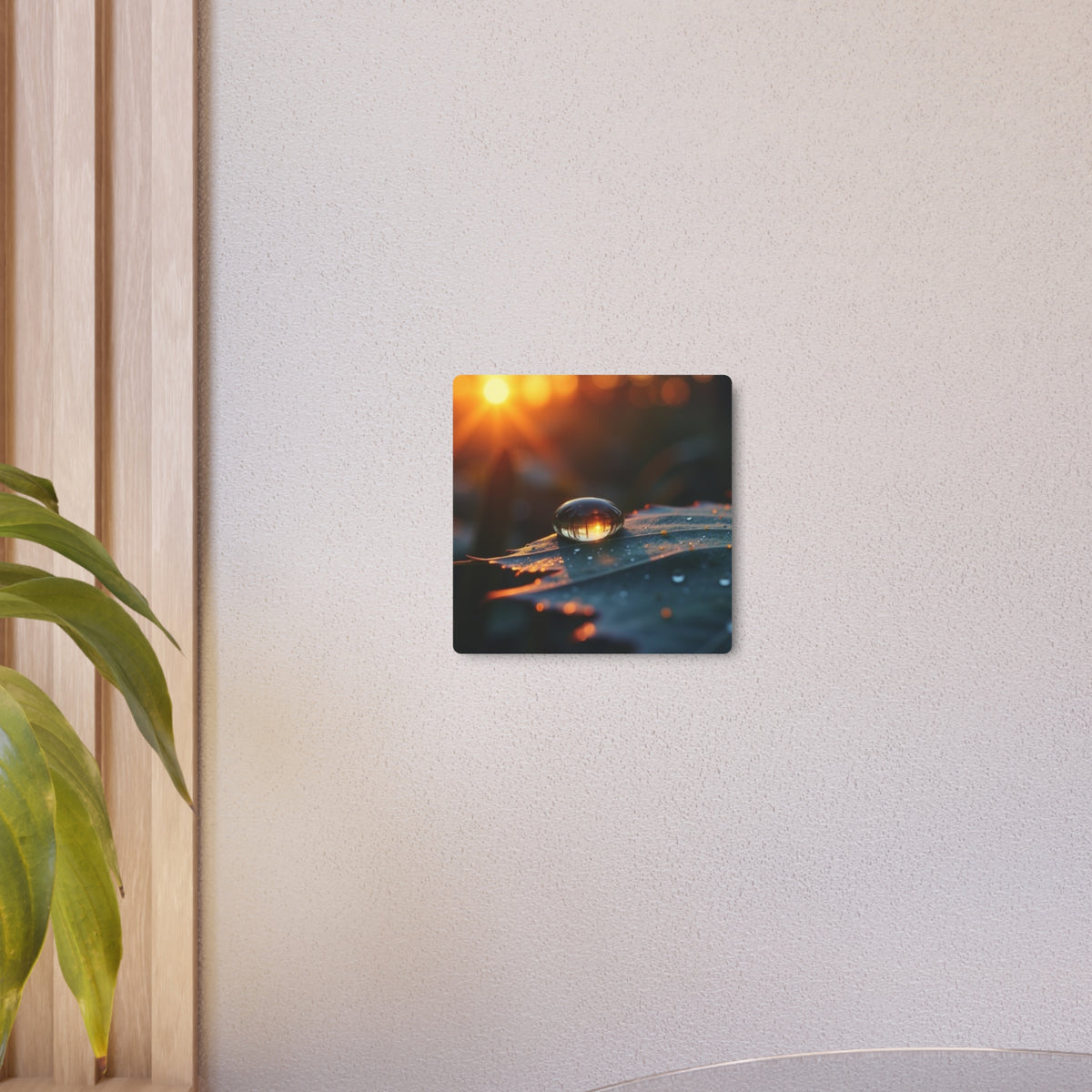 Tranquil Morning Light