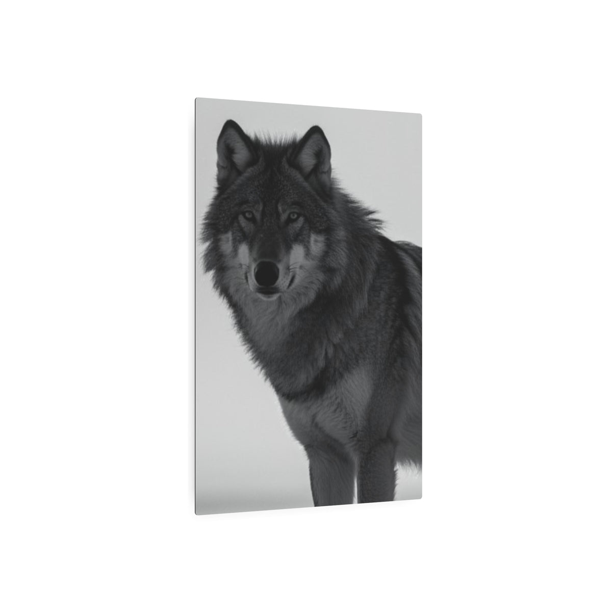 Wolf Portrait
