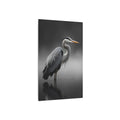 Great Blue Heron Portrait