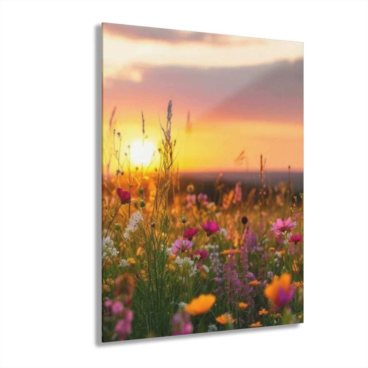 Wildflower Field at Sunset Acrylic Prints (French Cleat Hanging)