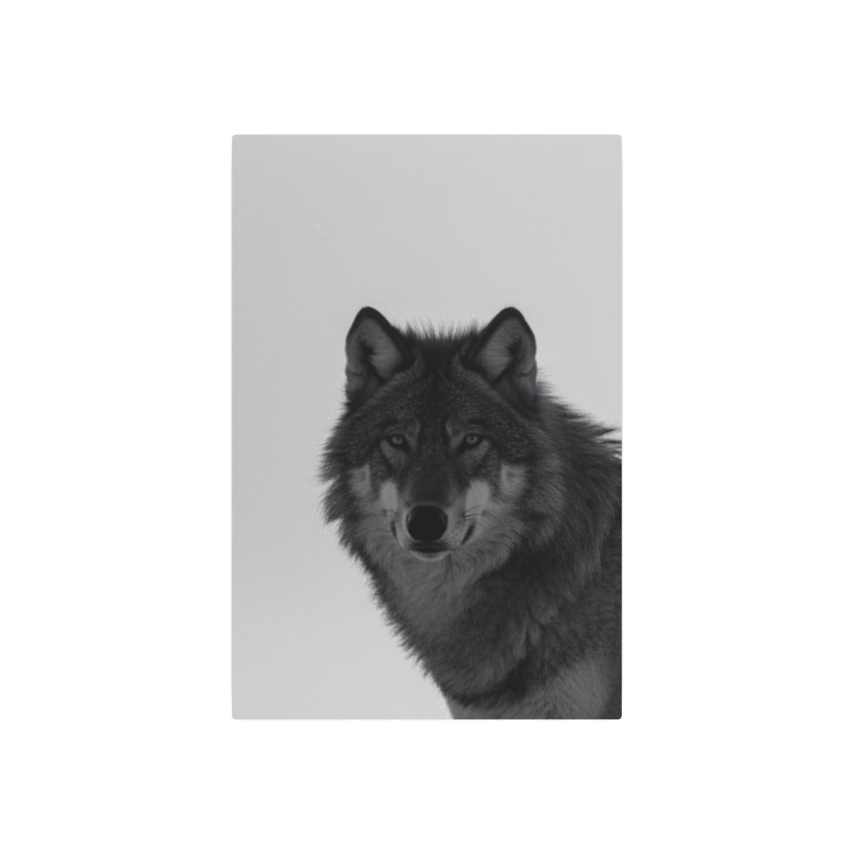 Wolf Portrait