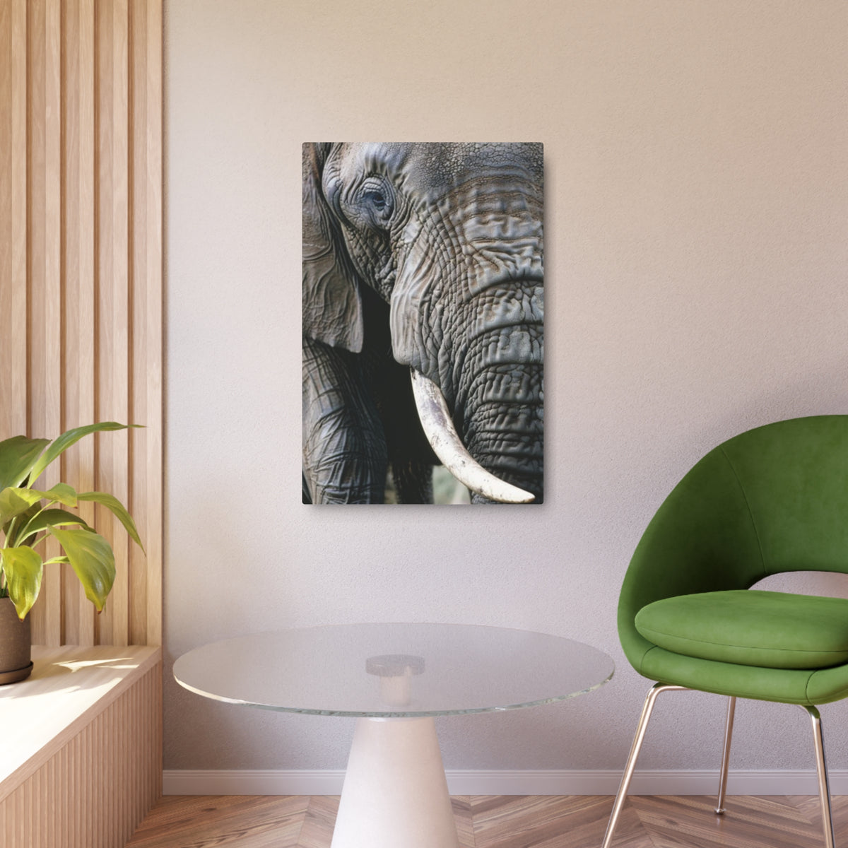 Elephant Portrait