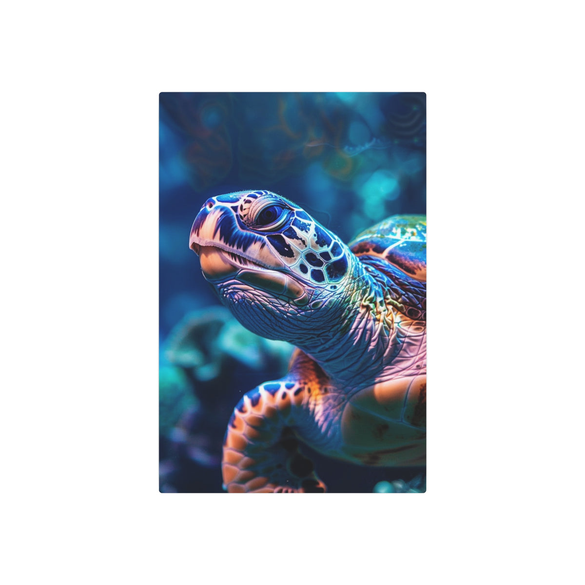 Sea Turtle Portrait