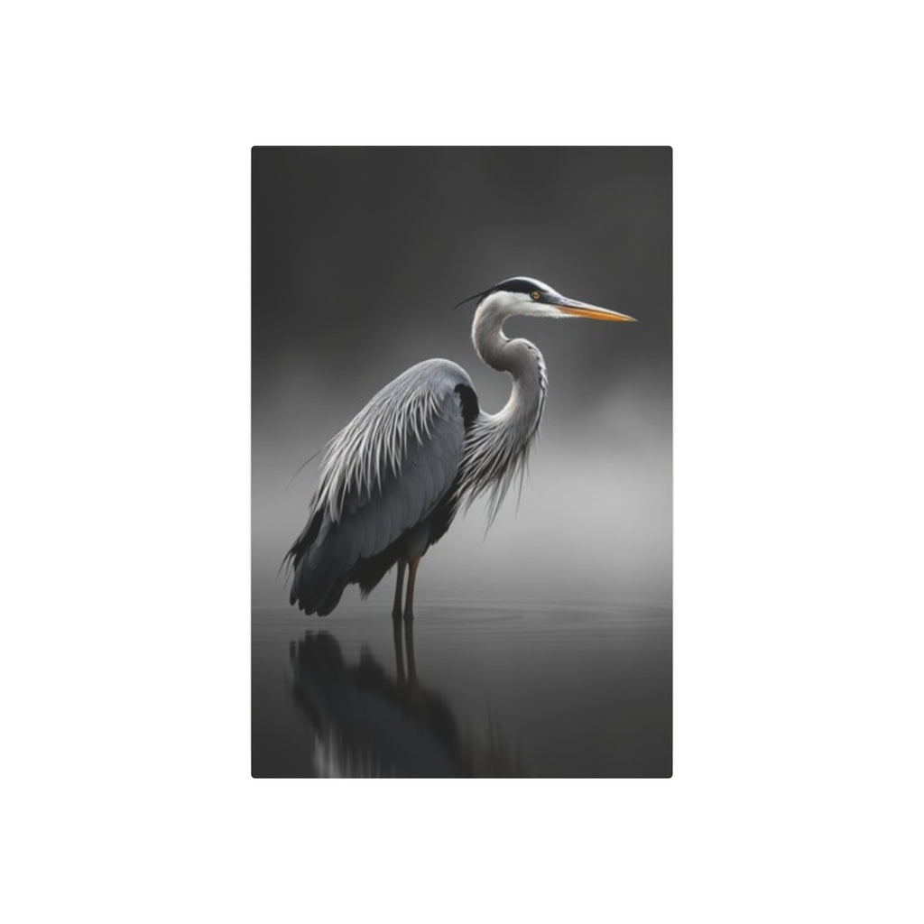 Great Blue Heron Portrait