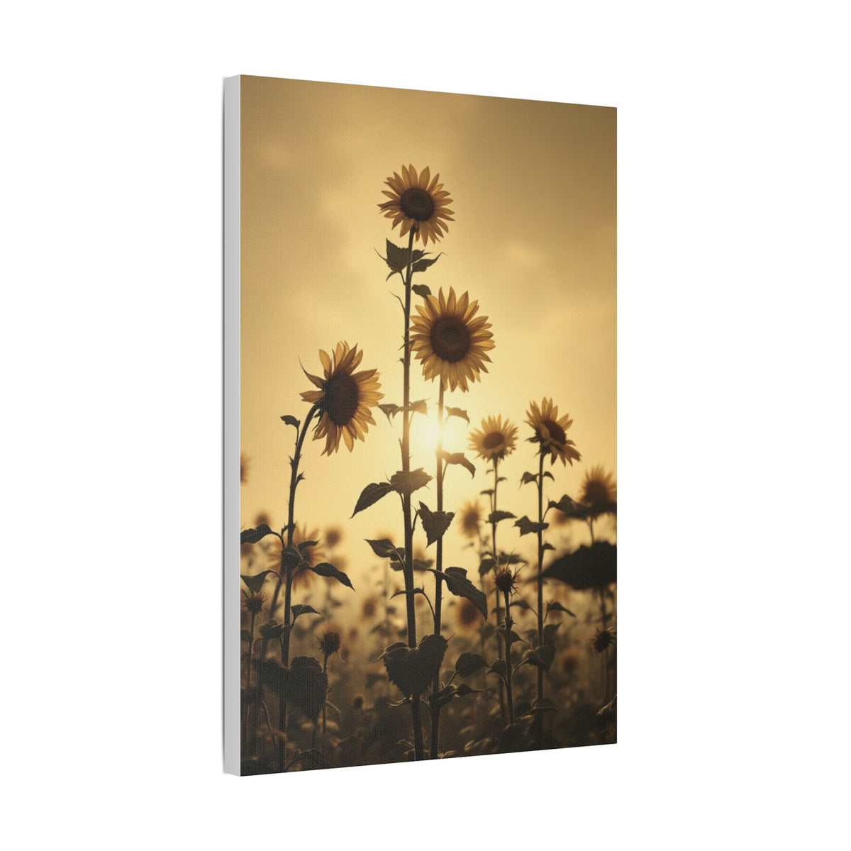 Soft Sepia Sunlit Sunflowers Satin Canvas, Stretched