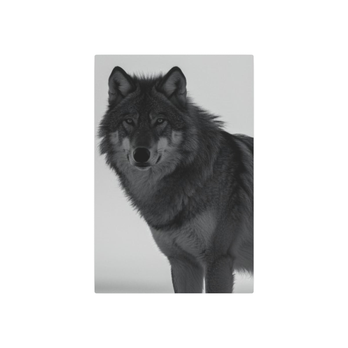Wolf Portrait