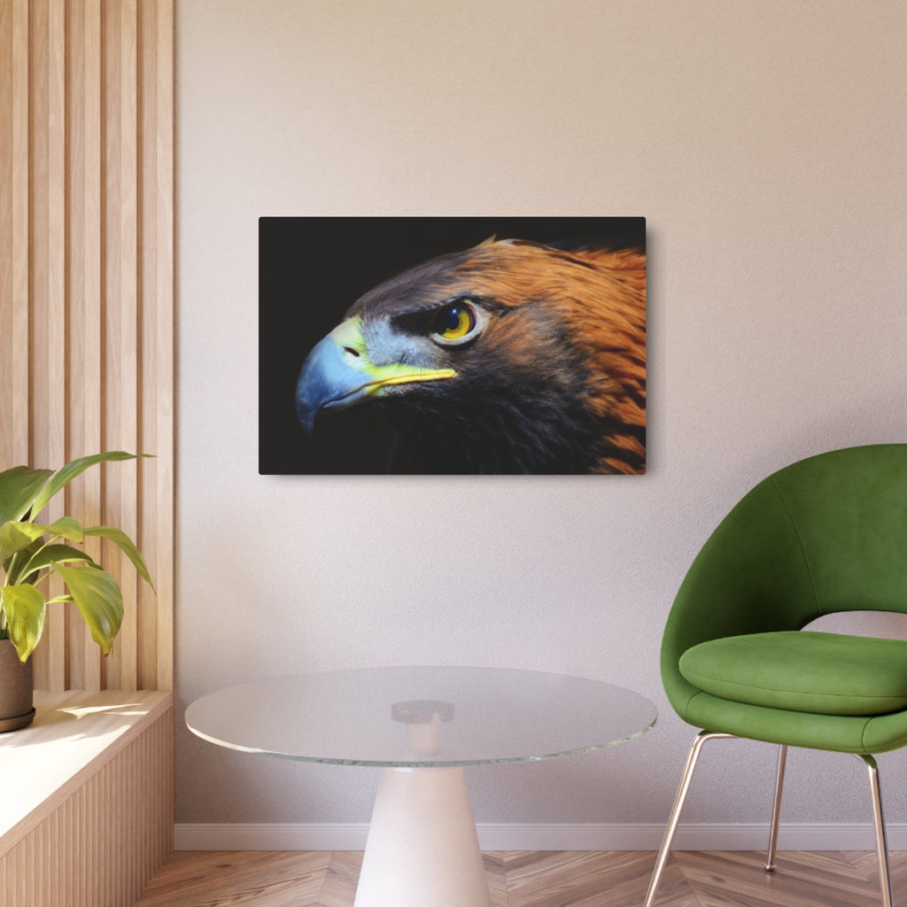 Golden Eagle Portrait