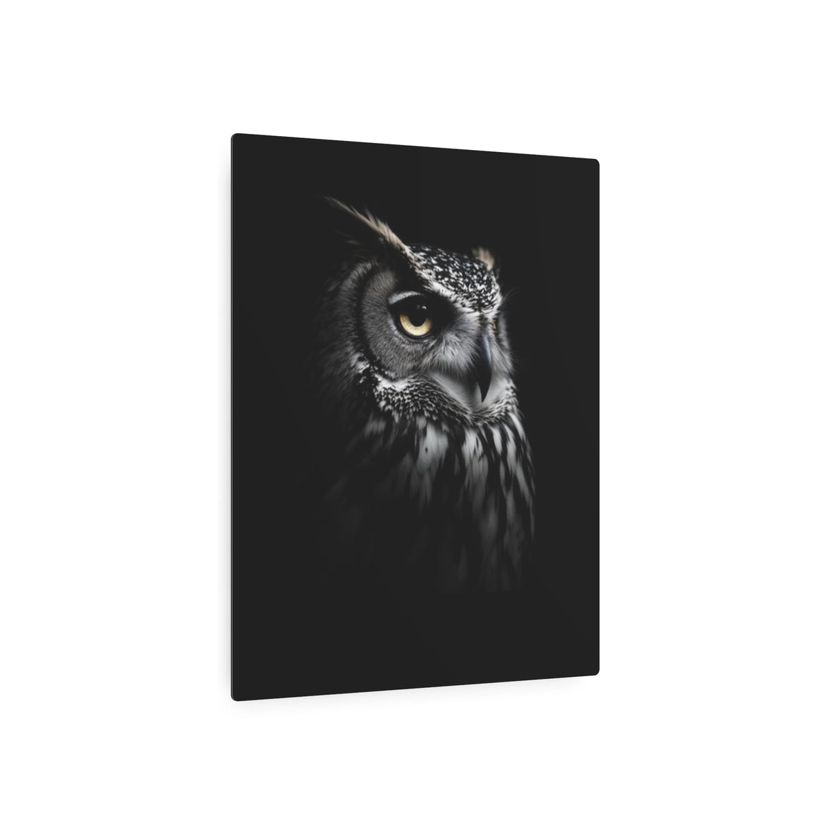Great Horned Owl Portrait