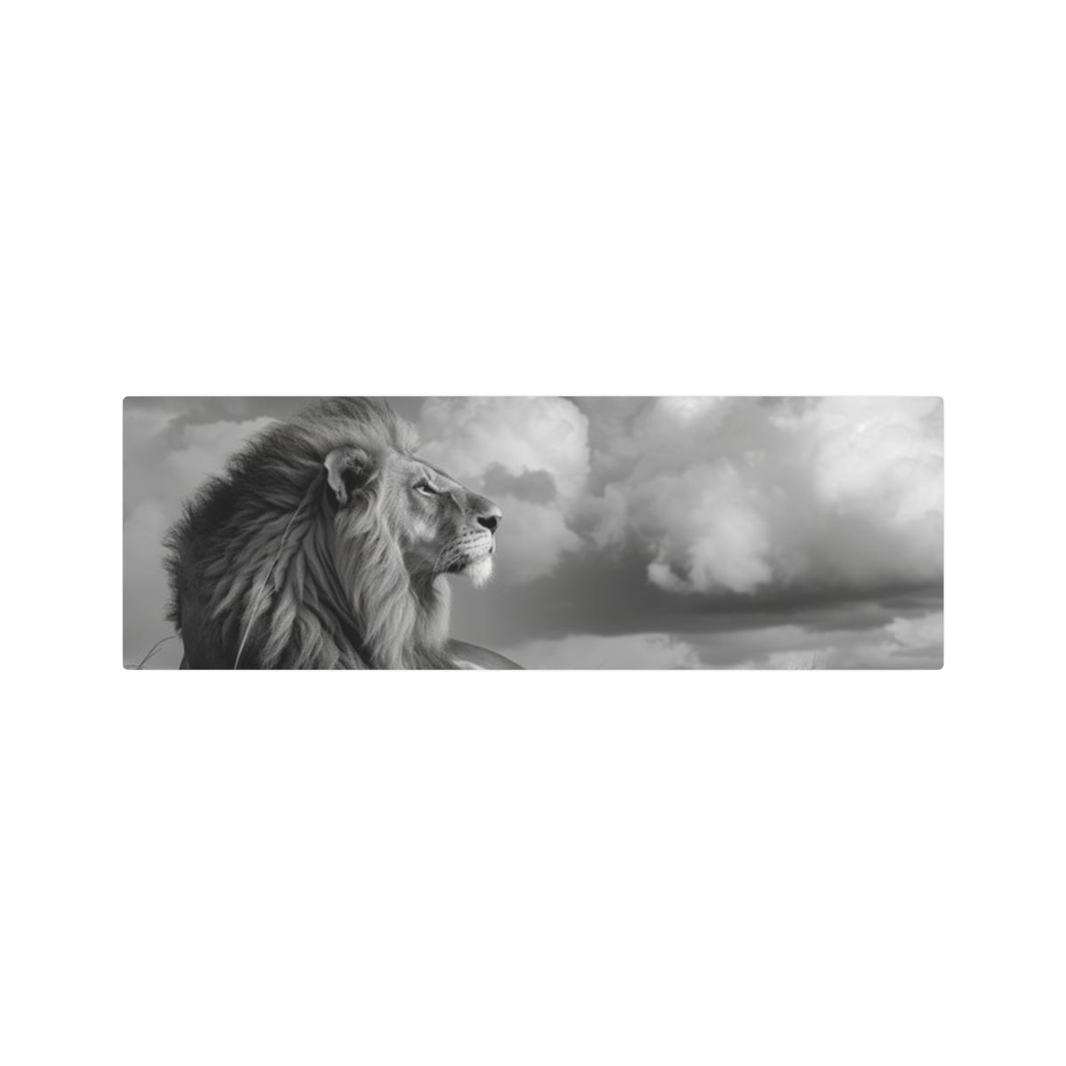Lion Portrait