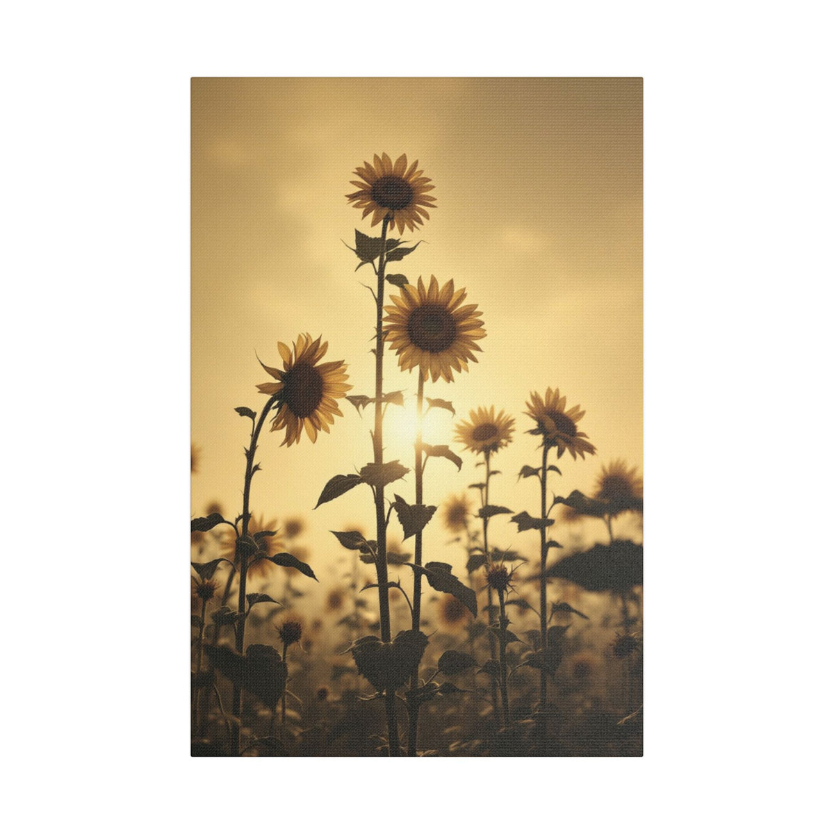 Soft Sepia Sunlit Sunflowers Satin Canvas, Stretched