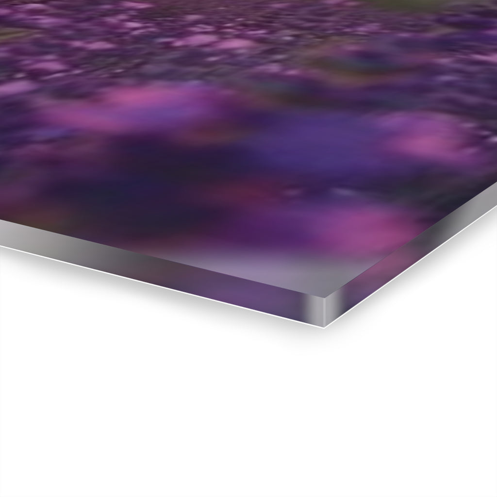 Wild About Lavender Acrylic Prints (French Cleat Hanging)
