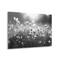 Delicate Wild Daisies Black and White Acrylic Prints (French Cleat Hanging)
