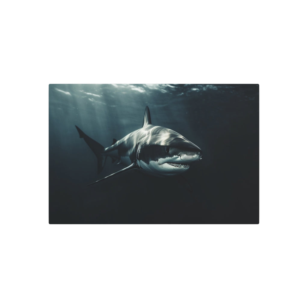 Great White Shark Portrait