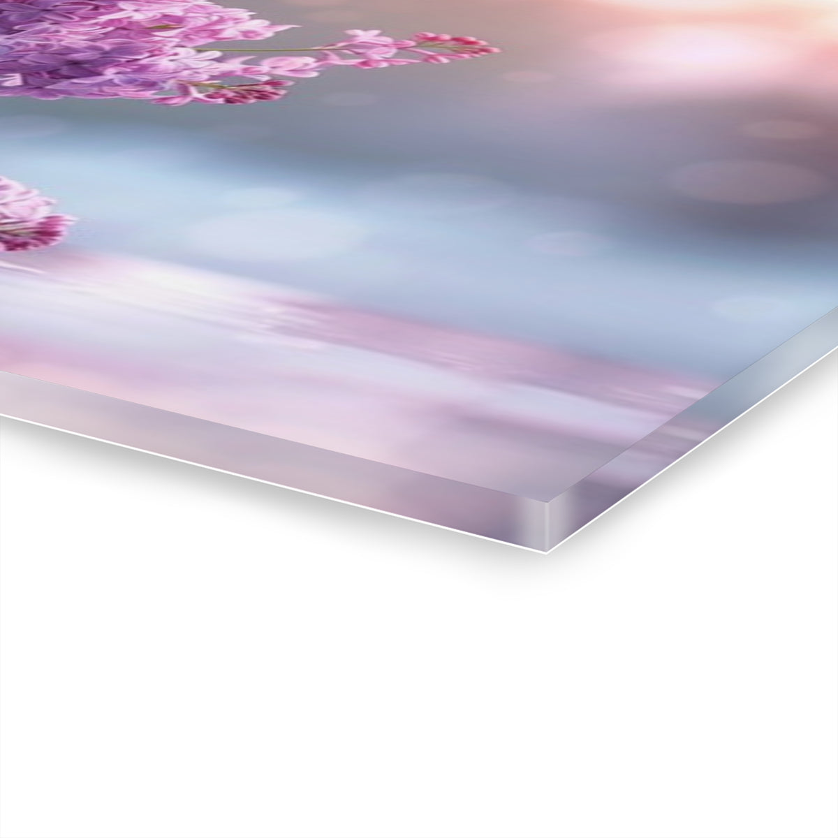 Wildly Lovely Lilac Acrylic Prints (French Cleat Hanging)