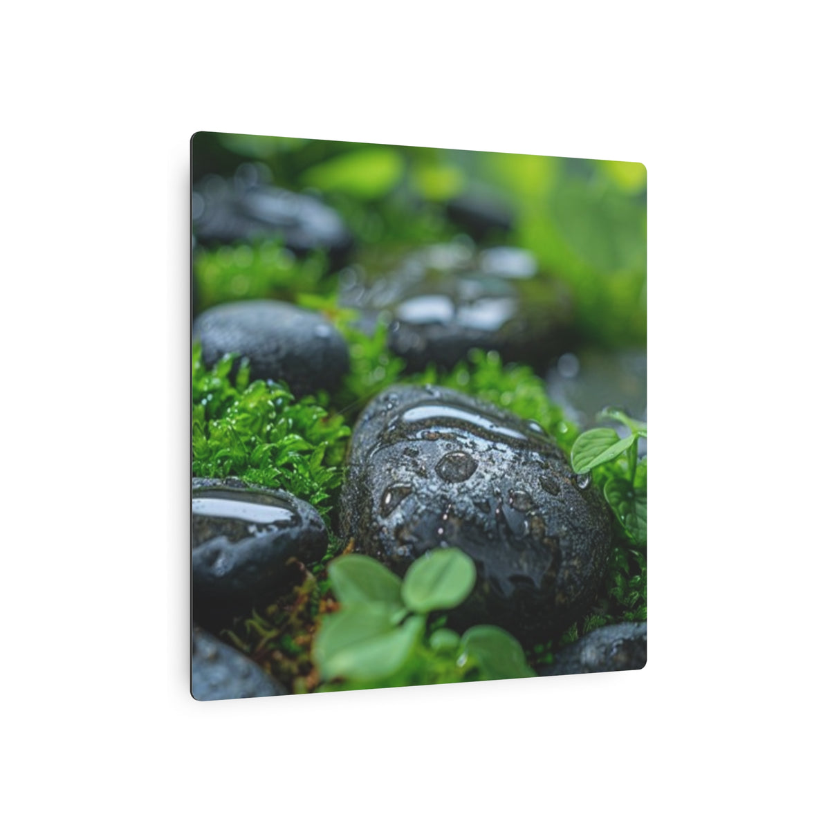 Tranquil River Stones