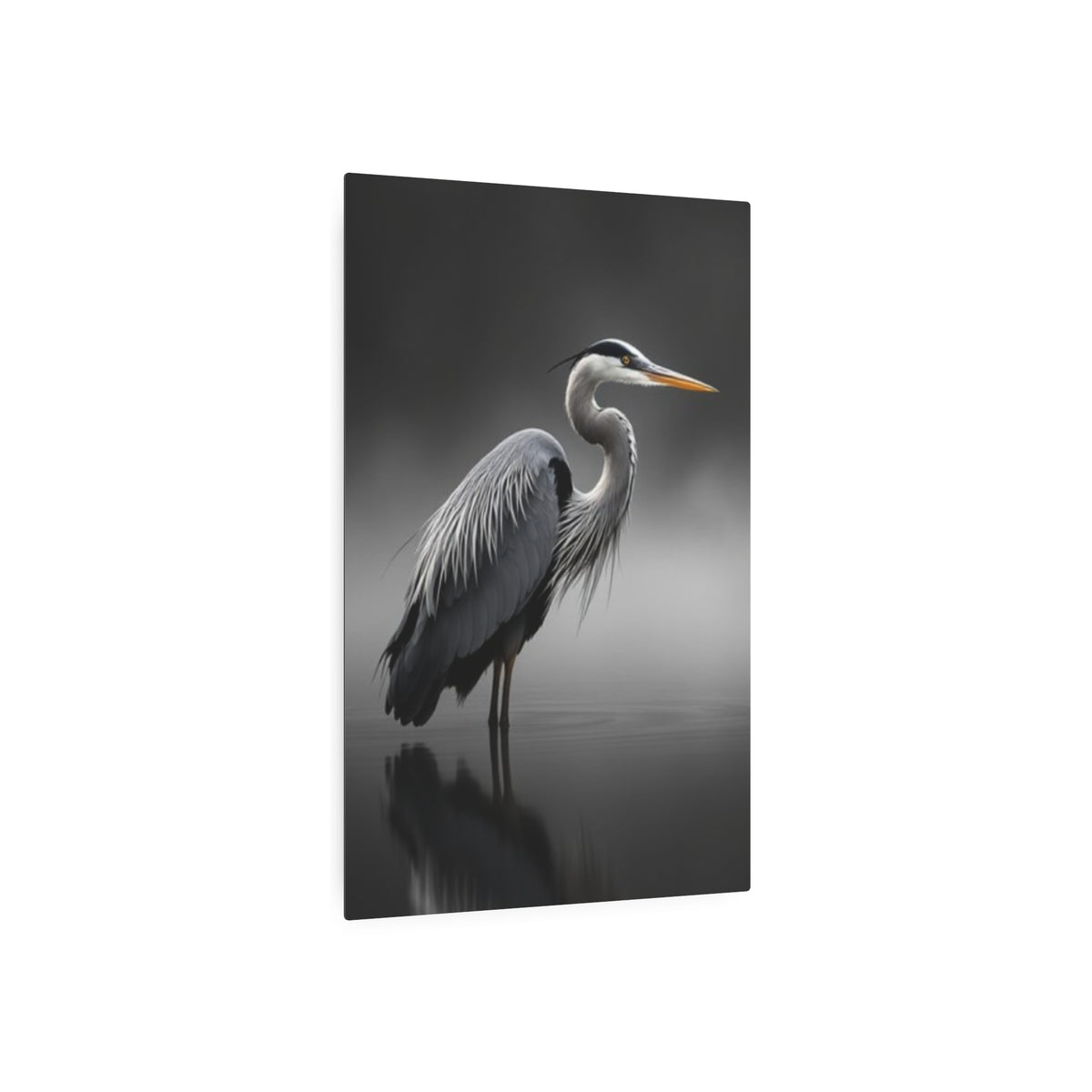 Great Blue Heron Portrait