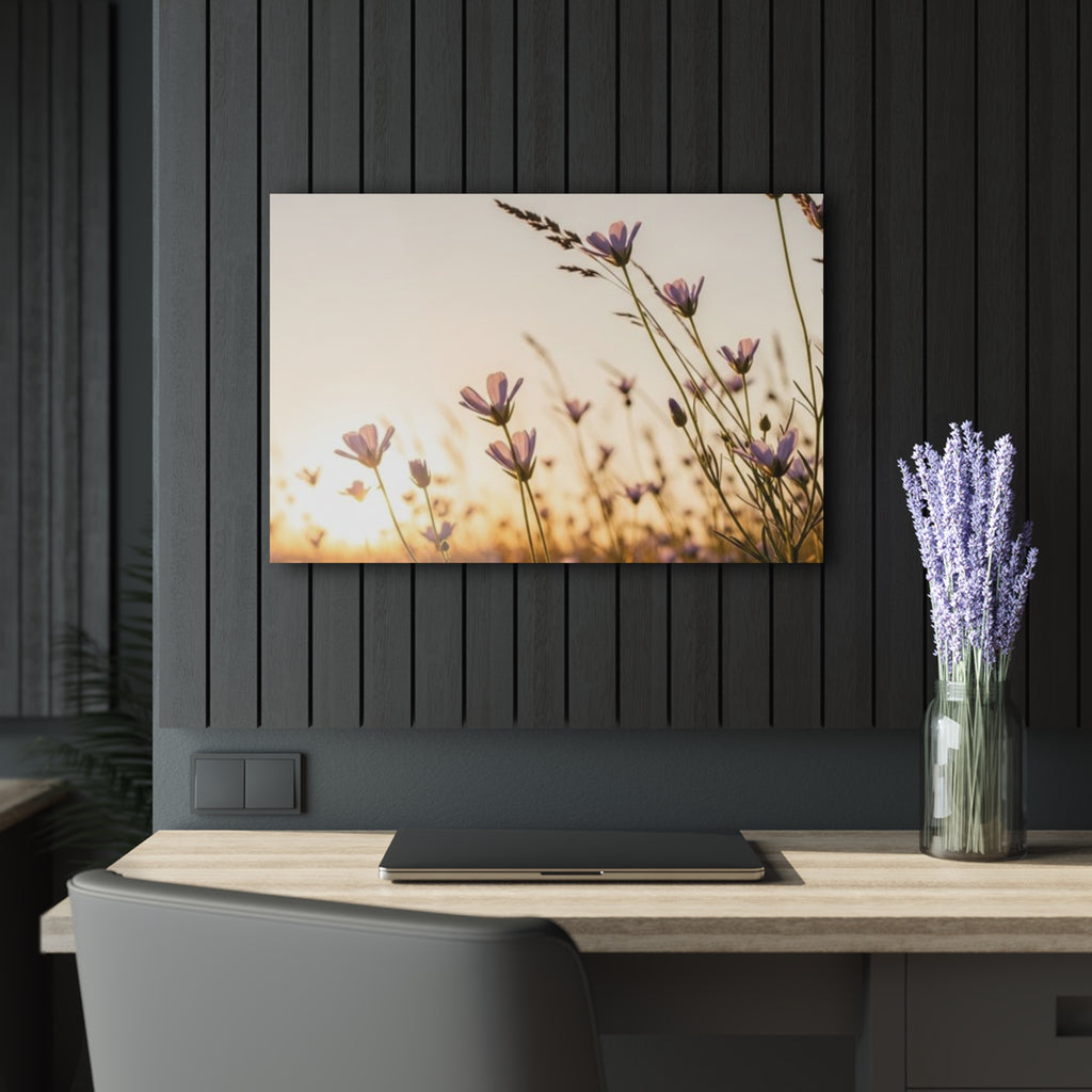 Sunlit Wispy Wildflowers Acrylic Prints (French Cleat Hanging)