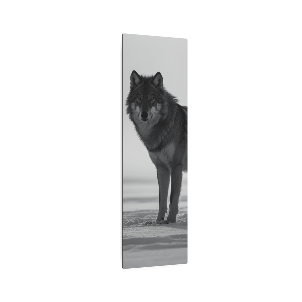 Wolf Portrait