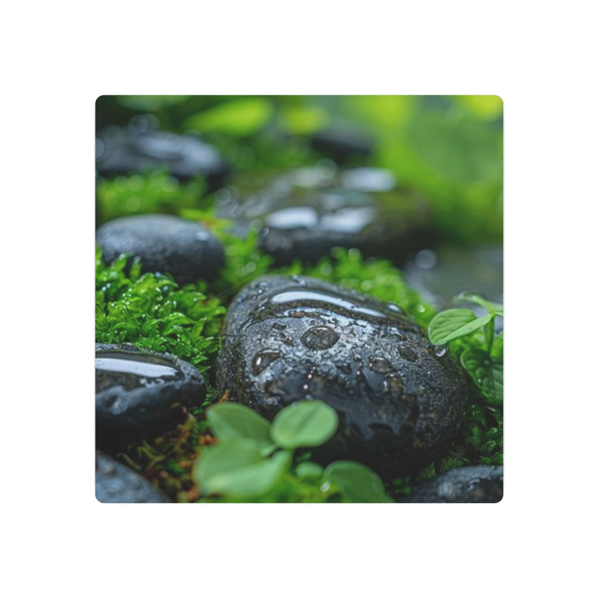 Tranquil River Stones