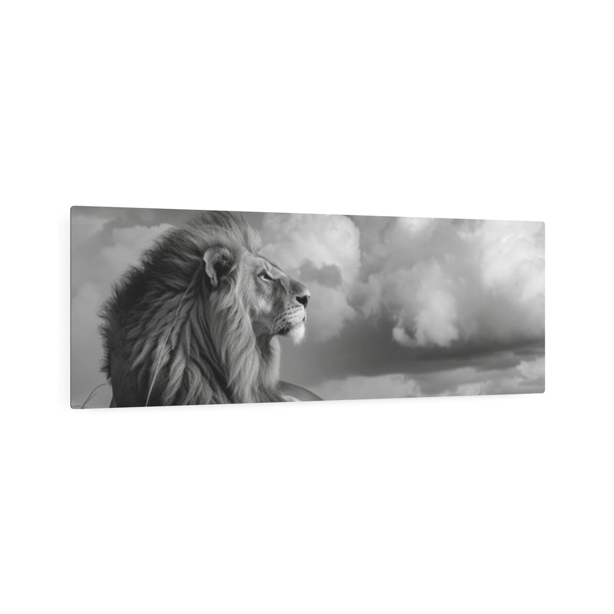 Lion Portrait