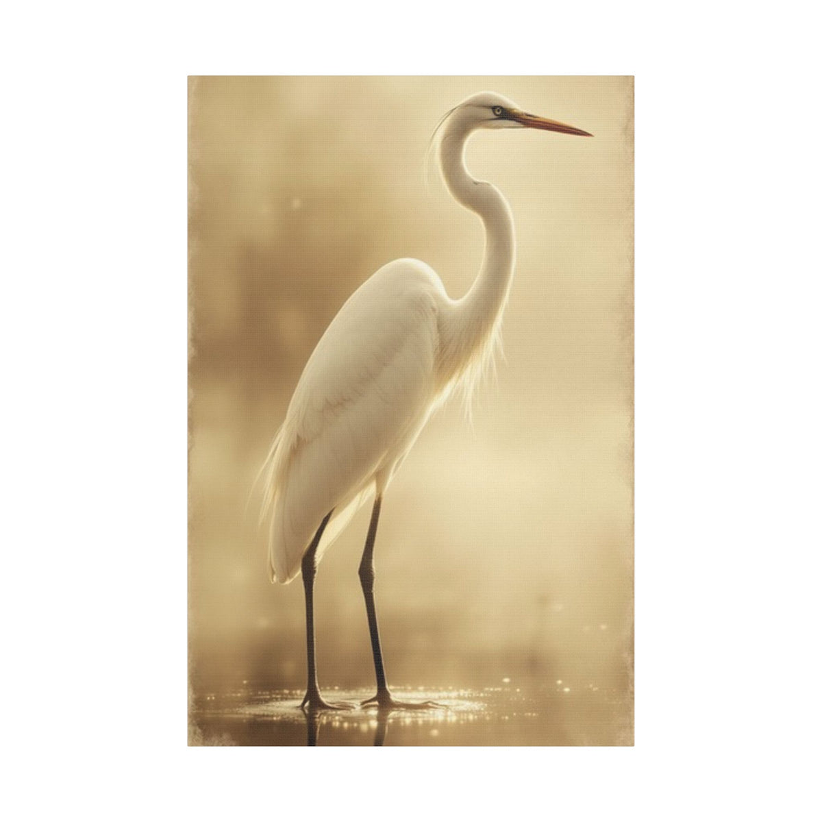 Soft Sepia Great White Heron Satin Canvas, Stretched