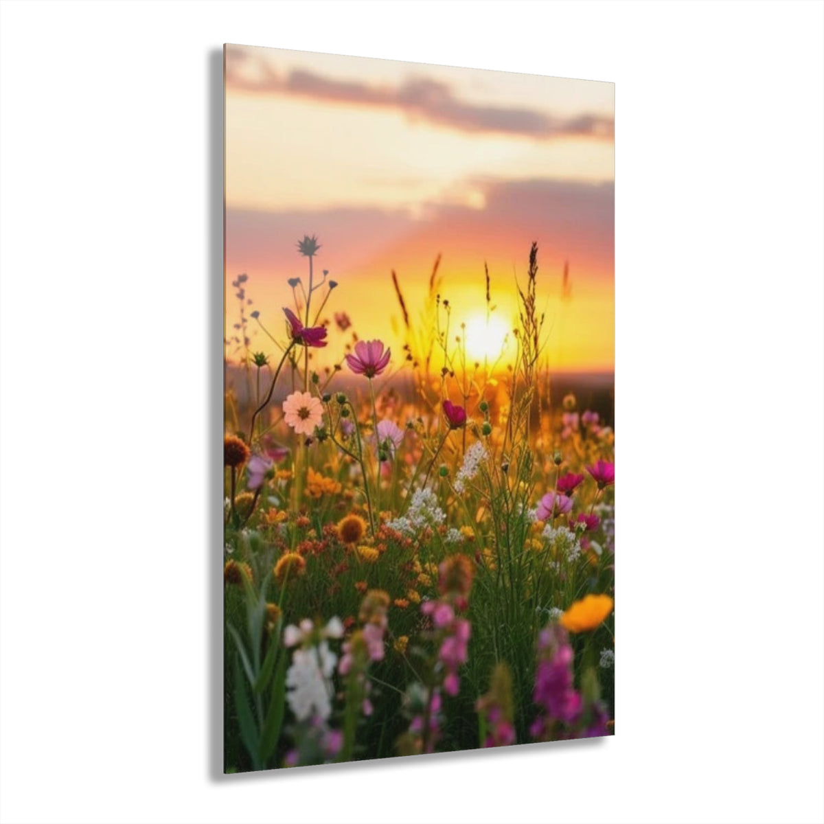 Wildflower Field at Sunset Acrylic Prints (French Cleat Hanging)