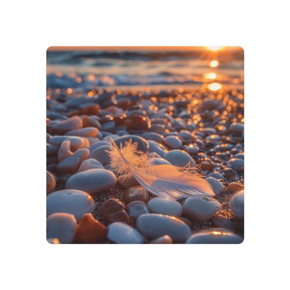 Tranquil Feather on Beach Stones